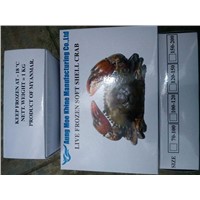 Soft Shell Crab(SEAFOOD)