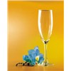 champagne glass,champagne flute,wine glass