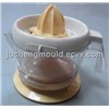 Juice Extractor Mould