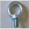 Stainless Steel Eye Nut and Bolt for Diesel Engine
