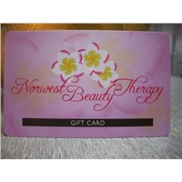Beauty Card/VIP Card/Plastic Gift Card