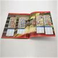 Custom matt/glossy lamination Promotional Color Booklet Printing with glue binding for ads
