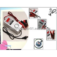 Energy Battery Charger 12V8A