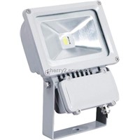 LED Flood Light