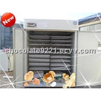 Professional Competitive Price Egg hatching Machine