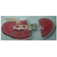Cooperate gift! Kidney USB 2.0 for Promotion/1GB 2GB 4GB 8GB 16GB Newest promo kidney USB Drive