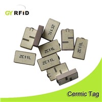 GEN2 RFID Cermic Tag 12mm can be used for asset tracking (GYRFID)