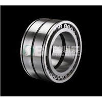 Spherical double row full complement roller bearing