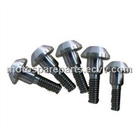 Titanium bolt