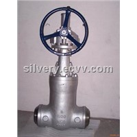 class2500 Pressure seal gate valve