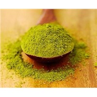 China Green Tea Extract