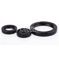 Auto Viton Rubber Part Gasket