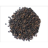 Vietnam black pepper 500 &amp;amp; 550 gr/l