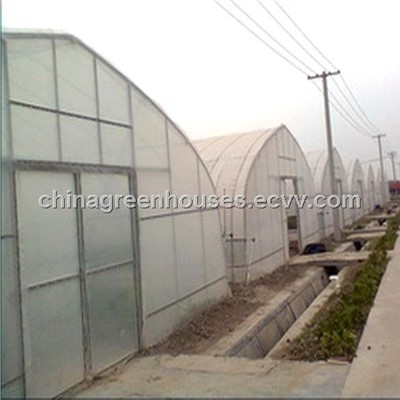 Plastic High Tunnel Greenhouse for Sale (CGS625S) China Greenhouse greenhouse plastic price south africa Plastic High Tunnel Greenhouse for Sale (CGS625S) China Greenhouse greenhouse plastic price south africa