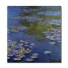 Hand-painted original oil paintings Water Lilies by Claude Monet with Stretched Frame