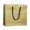 Luxury clothing shopping bags