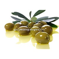 Supply Olive Leaf Extract Powder