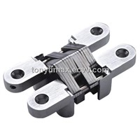 Invisible Hinge-25*118mm