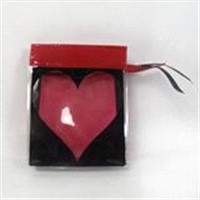 Red zipper bag Bag with heart logo Cosmetic display bag Cheap bag Custom bag with logo Color pvc bag