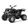 ATV  200cc automatic CVT engine