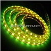 LED Rope Light 5050SMD LED Ribbon Lighting 12V/24V