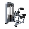 PRECOR DSL0313 Selectorized Back Extension Fitness Equipment