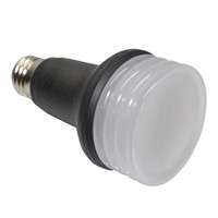 6W B0202 LED Light Bulbs IP65