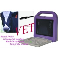 CE Approved Portable Veterinary Ultrasound Scanner (VETXK21355 LCD)