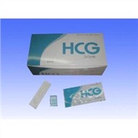 HCG Rapid Diagnostic Kits