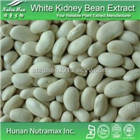 High quality White Kidney Bean Extract