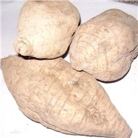 Kudzu Root Extract