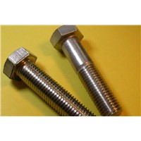 Supplier Hex Bolts With Nuts And Washers 4.8 Grade