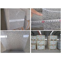 White Granite Tile | Chinese White Granite Flooring Tiles Supplier