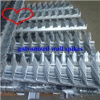 galvanized wall spikes hot sale