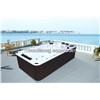 Monalisa outdoor  swimming spa tubs massage bahttub whirlpools hot tub