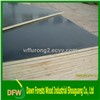 plywood Catalog|Dawn Forests Wood Industrial Shouguang Co., Ltd.