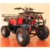150cc ATV Supplier EPA Certified Mini ATV