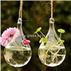 Water Drop Hanging Glass Pendant Lamp Blown Airplant Glass Terrarium Vase
