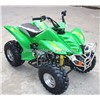 Chinese 110CC Automatic Kids ATV Supplier