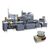 Packaging Production Systems (Passed CE)