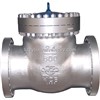 Pressure-Seal Piston Check Valve (900Lb-2500Lb)/wafer check valve/
