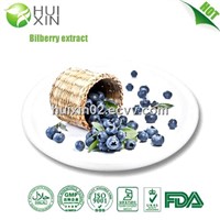 Bilberry extract 25%,30%,40%,84082-34-8