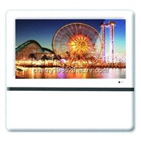 21.5 inch LCD/LED Advertising Player (SD,CF, USB)