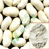 Natural White Kidney Bean Extract   1% ,2%