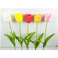 PU small single tulips