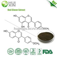 Red clover Extract 8% 20% 40%