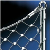 Selling High qualtiy stainless steel Wire Mesh Netting supplier