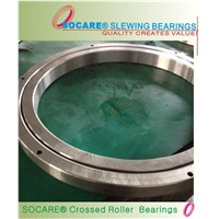 Special Slewing Bearing