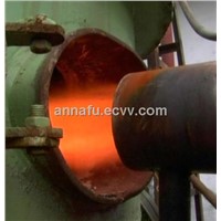 biomass pellet burner for drying system