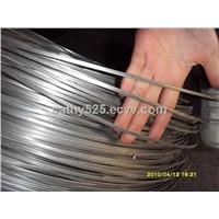 copper flat wire/Galvanized flat wire (Ruilong supplier)
